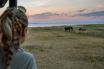 Bumi Hills Safari Lodge: Sichtungen