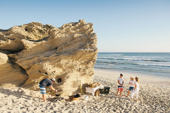 Coot Club: Aktivitäten