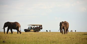 Elewana Elephant Pepper Camp Elewana Elephant Pepper Camp: Elefanten