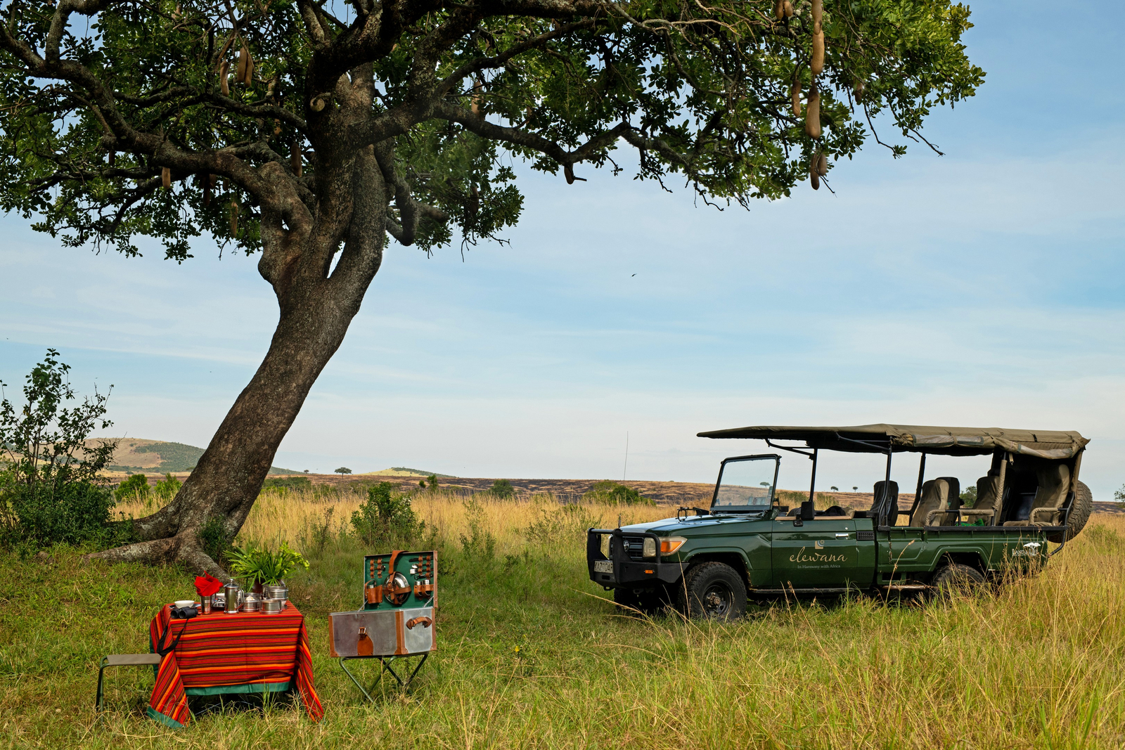 Elewana Sand River Masai Mara Camp Elewana Sand River Masai Mara Camp: Picknick
