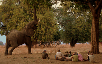 Goliath Tented Camp Goliath Tented Camp: Alter Elefantenbulle