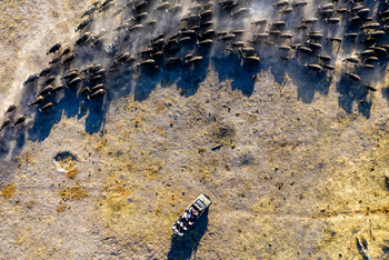Gomoti Plains Camp: Tiere und Landschaft