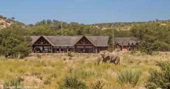 Hobatere Lodge: Elefant vor der Lodge