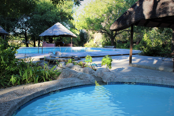Island Safari Lodge: Pool