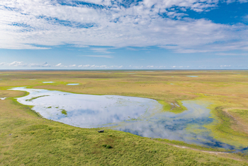 King Lewanika Lodge: Landschaft von oben
