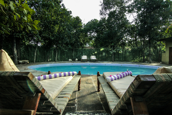 Pench Jungle Camp: Liegestühle am Pool