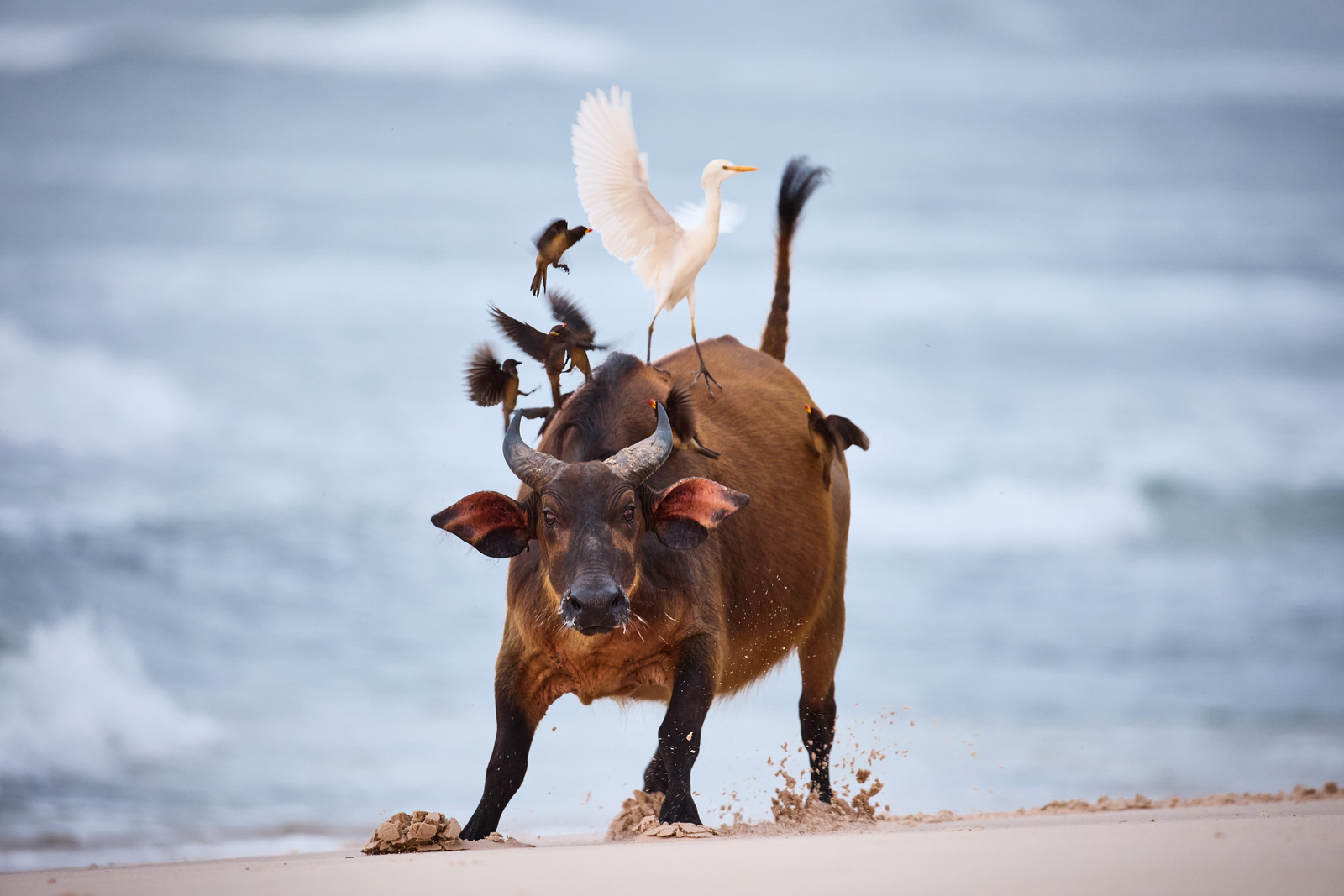 Sette Cama Eco Camp Sette Cama Eco Camp