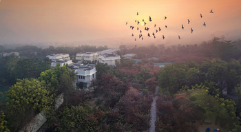 The Tigress: Landschaft