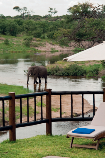 Belmond Savute Elephant Lodge Belmond Savute Elephant Lodge: Elefant im Channel