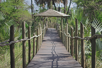 Chem Chem Lodge: Walkway