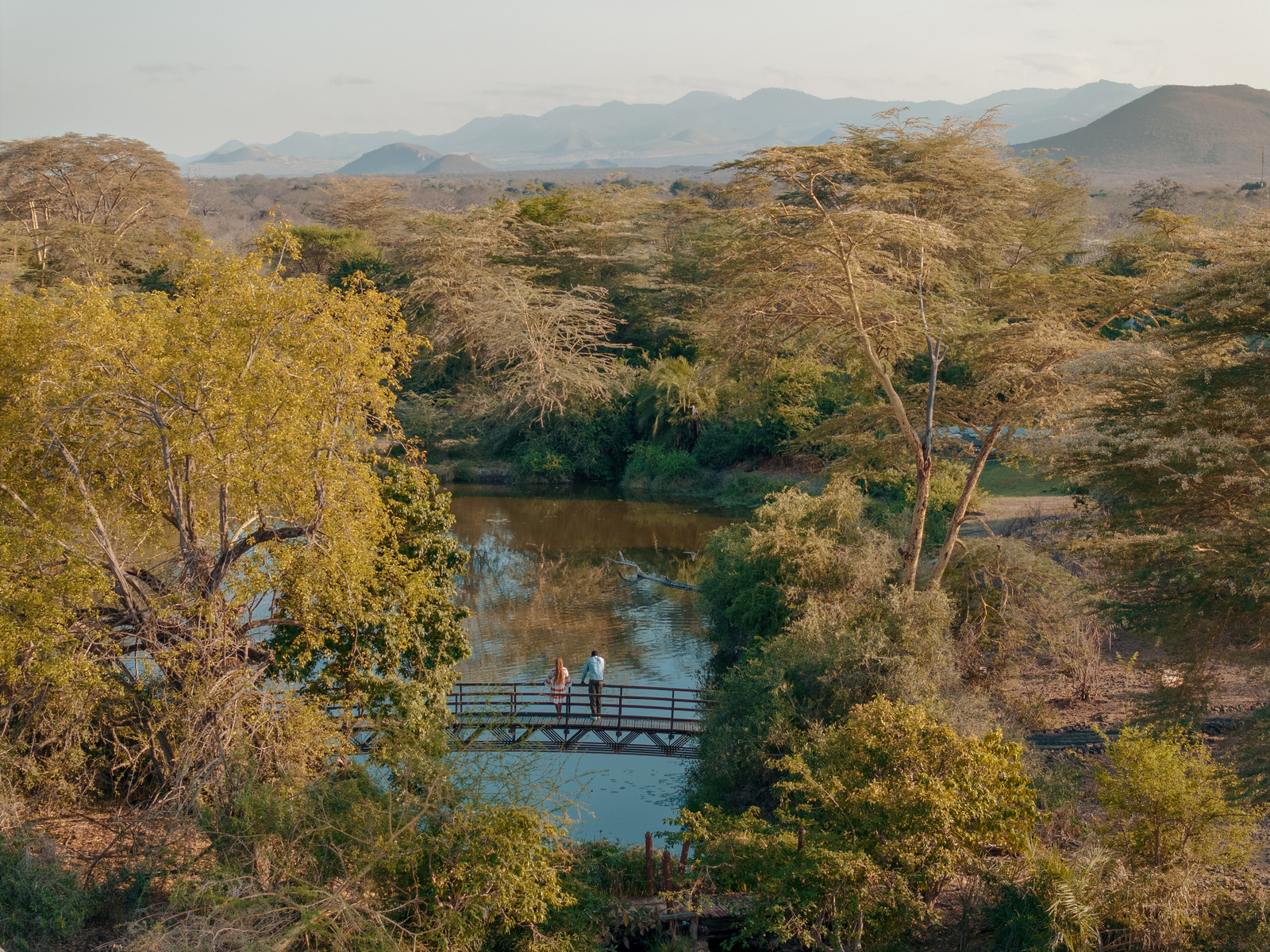 Finch Hatton's Lodge Finch Hatton's Lodge: Brücke im Park