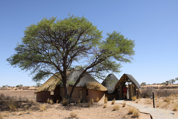 Kalahari Red Dunes Lodge: Chalet neben Baum
