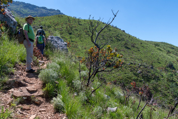 Musangano Lodge: Besteigung Mt. Inyangi