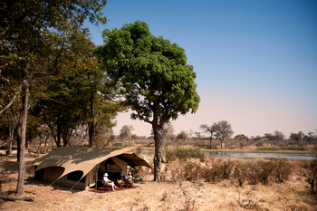 Selinda Explorers Camp Selinda Explorers Camp: Zelt unter Bäumen