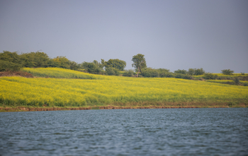 TUTC Sawai Shivir: Chambal-Ufer in Blüte