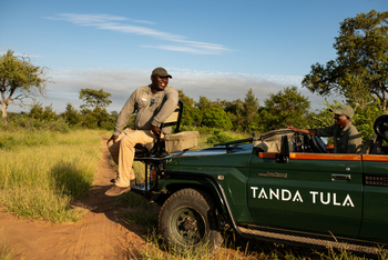 Tanda Tula Safari Camp: Game Drive