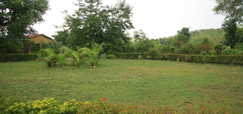 The Wildflower Resort The Wildflower Resort: Rasen