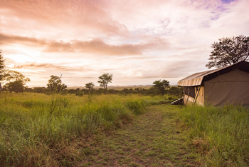 Dunia Camp: Blick über die Serengeti