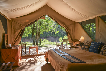 Governors' Camp: Classic Safari Tent