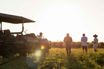Jamala Madikwe: Gäste genießen Sundowner am Safari-Fahrzeug