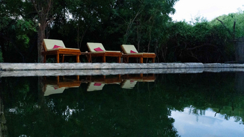 Lake Natron Tented Camp: Holzliegen mit Kissen am Naturbecken
