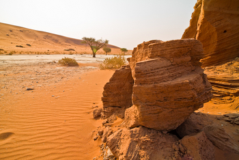 Namib Outpost: Auswaschungen im Tsauchab River Bed