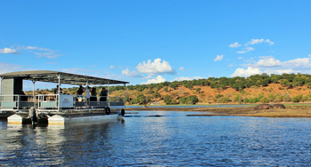 River View Lodge: Nilpferde am Ufer