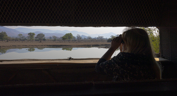 Royal Zambezi Lodge: Frau beobachtet Tiere