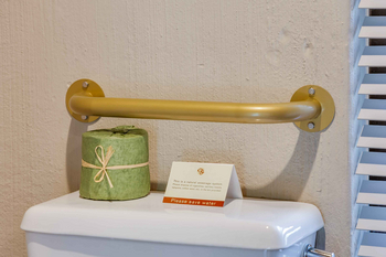 Sabi Sabi Bush Lodge: Badezimmer mit Goldgriff und grünem Toilettenpapier