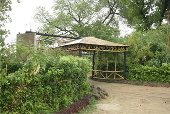 The Wildflower Resort The Wildflower Resort: Tor