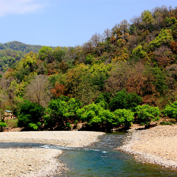 Vanghat: Gairal Forest Guesthouse