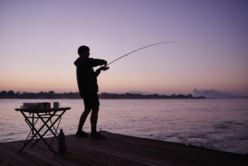 Victoria Falls River Lodge Victoria Falls River Lodge: Angler