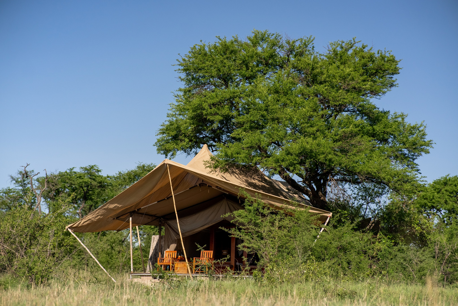 Asanja Siri Bustani Grumeti Camp Asanja Siri Bustani Grumeti Camp: Zelt mit Vordach