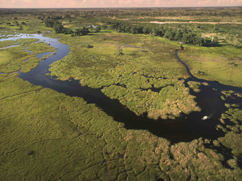 Duba Plains Camp: Luftbild