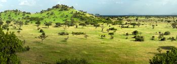 Grumeti Hills Camp: Hügel in der Savanne