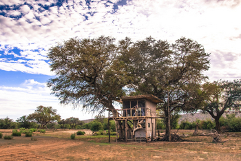Hobatere Lodge: Treehouse