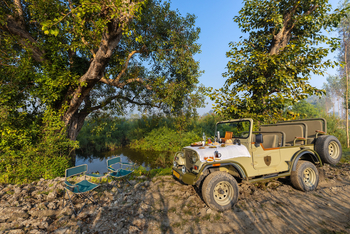 Jaagir Manor: Frühstück im Revier der Fishing Cat