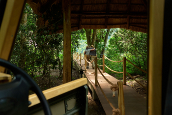 Koroi Forest Camp: Wege im Camp