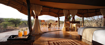 Lewa Safari Camp: Standard Tent