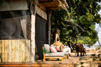 Little Ruckomechi Camp: Blick auf Elefanten