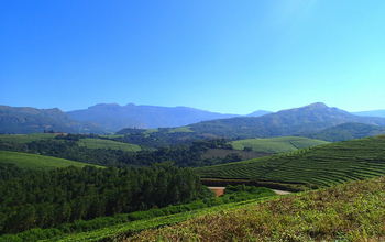 Musangano Lodge: Honde Valley