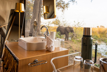 Shinde Footsteps Shinde Footsteps: Elefant vor dem Bad