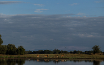 Sungani Lodge: Pukus