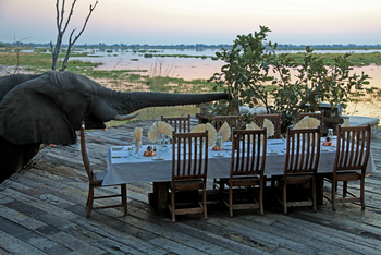 Zarafa Camp: Der Elefant isst mit