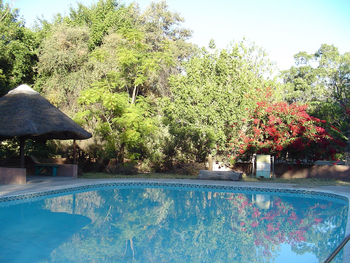 Island Safari Lodge: Pool