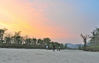 Jim's Jungle Retreat: River Walk