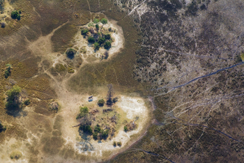 Kanana Camp: Elefant unterwegs