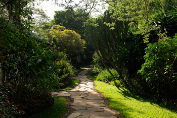 Katambuga House: Pflastersteine