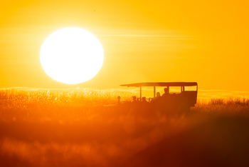King Lewanika Lodge: Game Drive