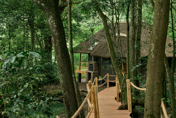 Koroi Forest Camp: Holzweg zum Gästezelt